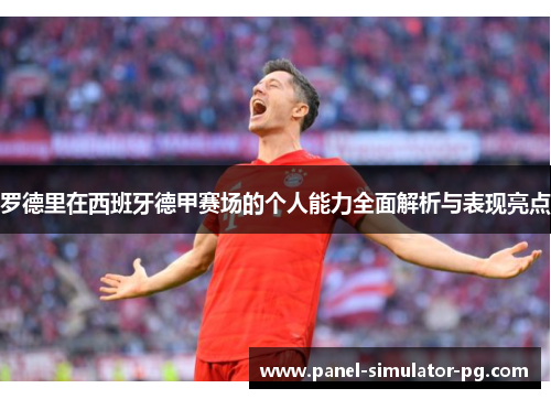 罗德里在西班牙德甲赛场的个人能力全面解析与表现亮点